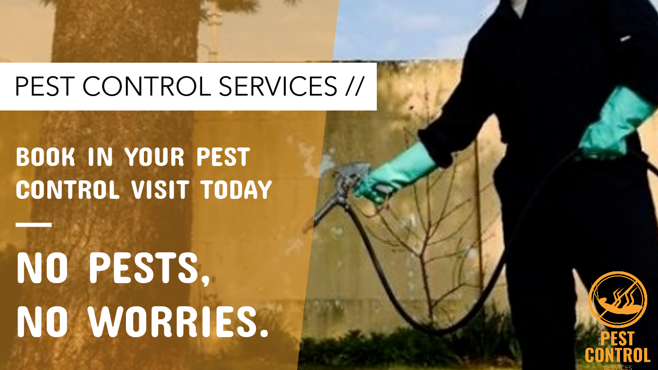 Pest Control Prices