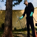 Pest Control at Work in Bridge End 8