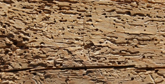 Cost of Woodworm Treatment in Aston